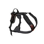 Non-Stop Rock Harness 2